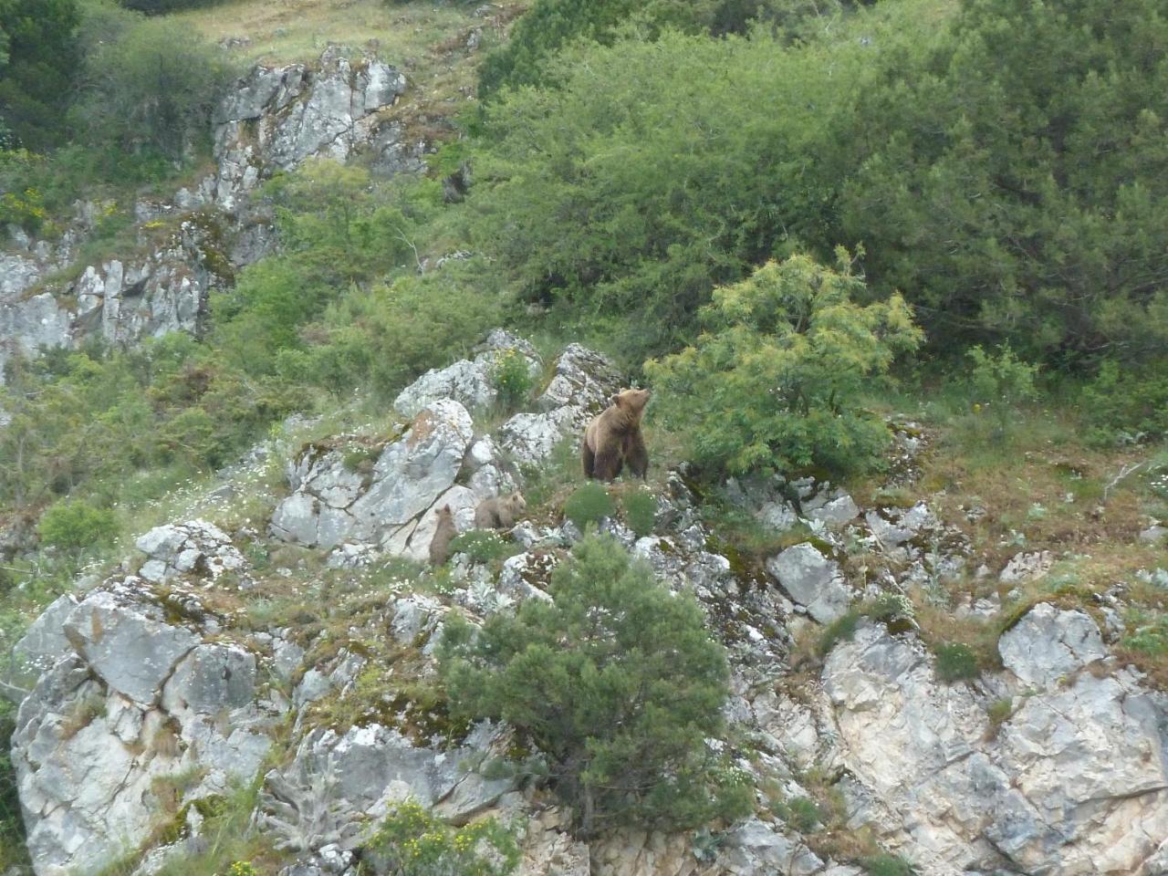 Agios Germanos Hotel Kültér fotó