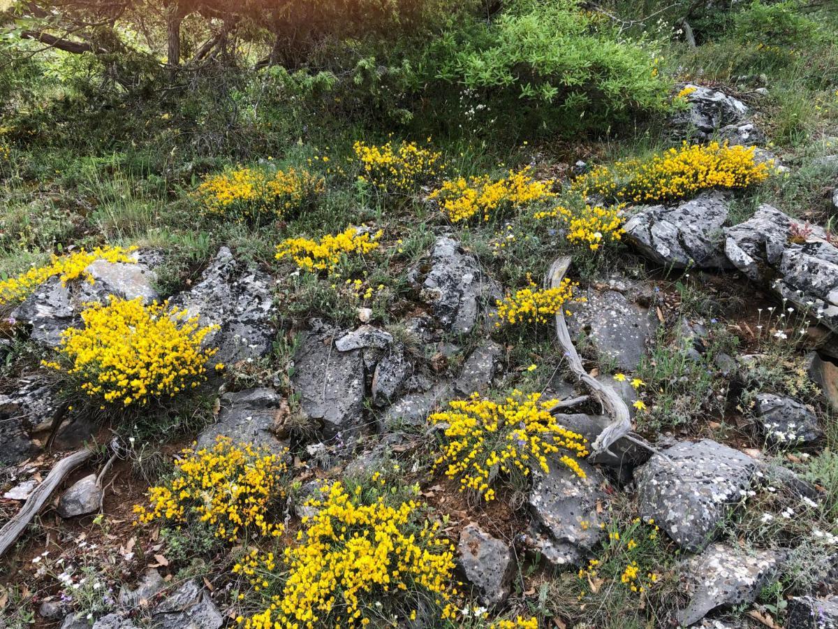 Agios Germanos Hotel Kültér fotó
